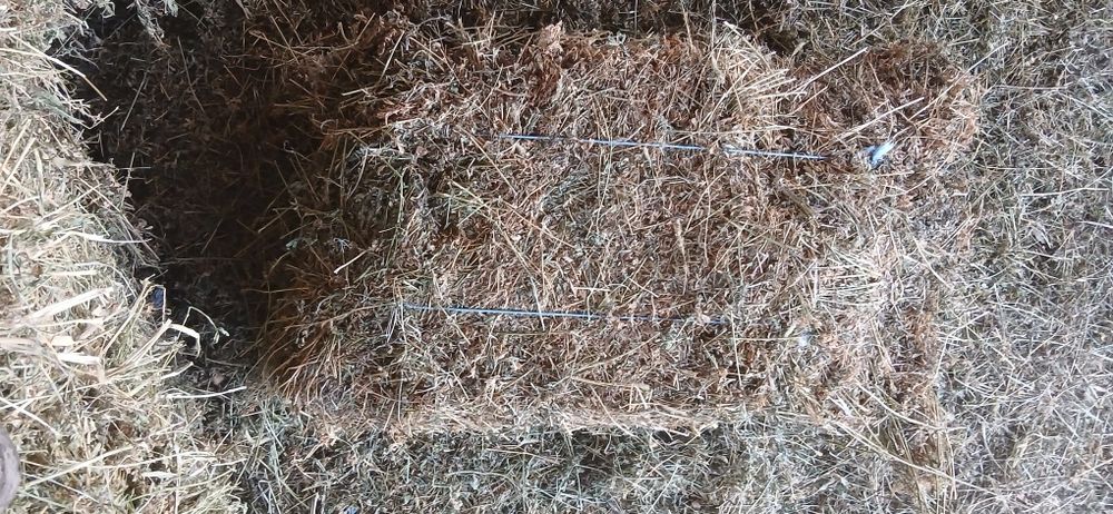 Vând Baloți de Lucernă