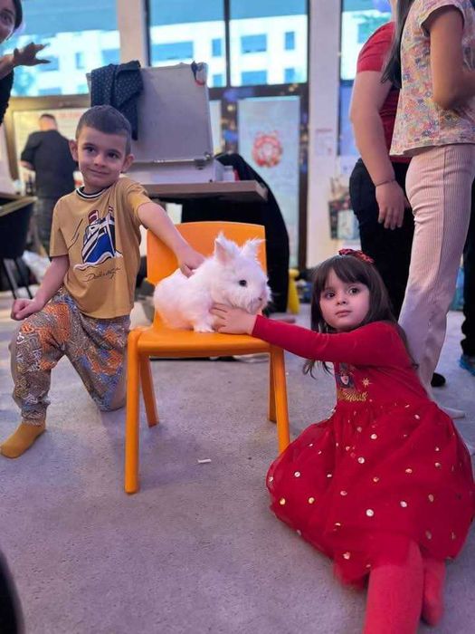 Animatori petreceri copii Slatina / jud. Olt