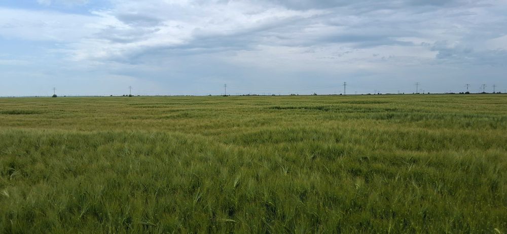 Teren 15.533 mp,deschidere 39 ml la DN1 ideal investitii industriale