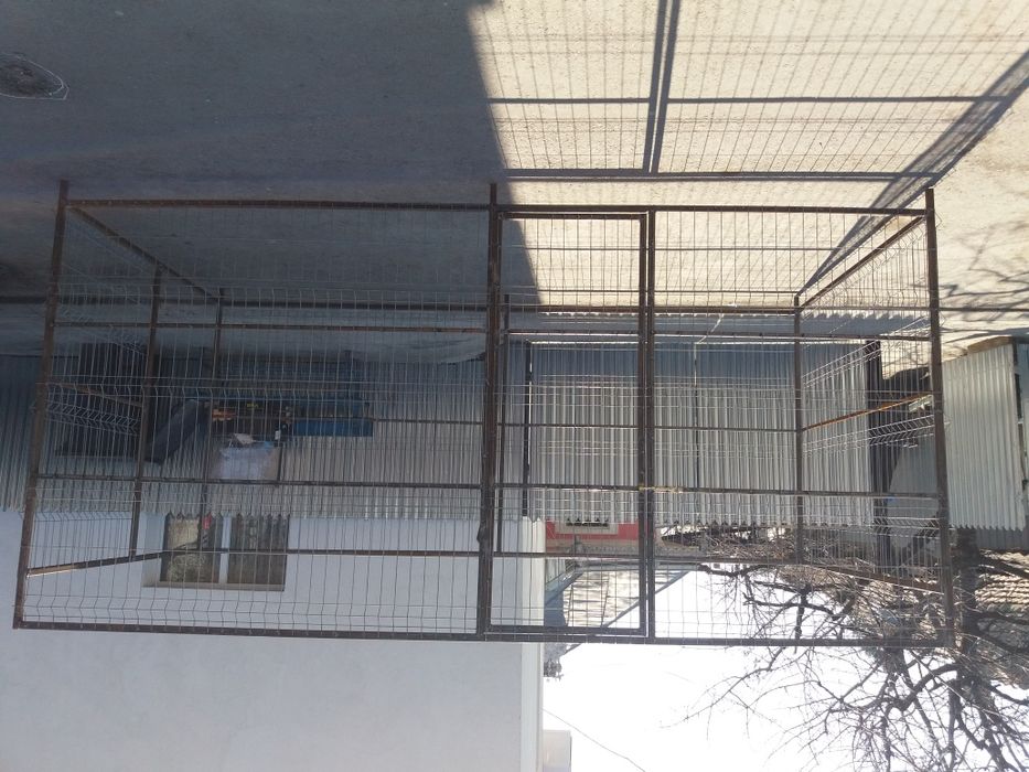 Vand țarca pentru câini după cererea clientului