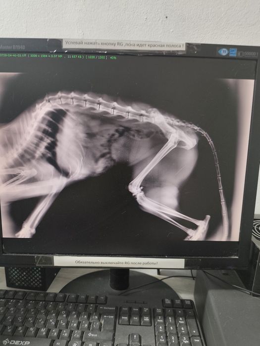 Рентген аппарат с оцифровщиком