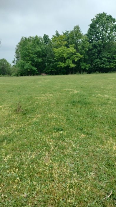 Teren extravilan 7.200 m², Bordea, Grajduri, ideal pt. casa de locuit sau de vacanță