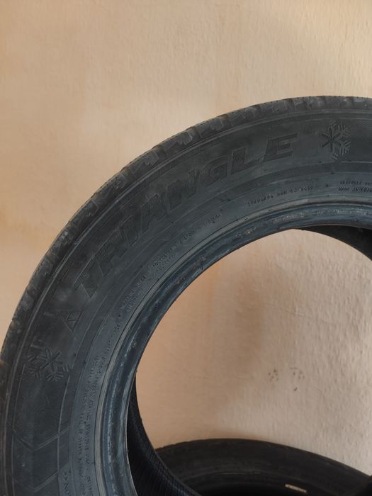 Зимние шины Triangle 195/65R15