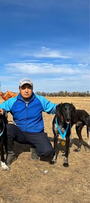 Тазы күшіктер бар,Жақсы қандардан