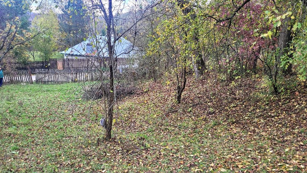 Teren intravilan Provita de jos
