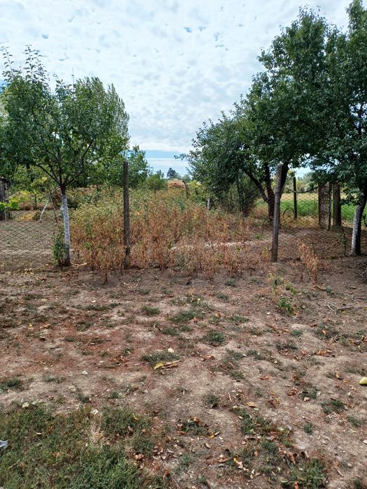 Casa + teren vanzare Silindru
