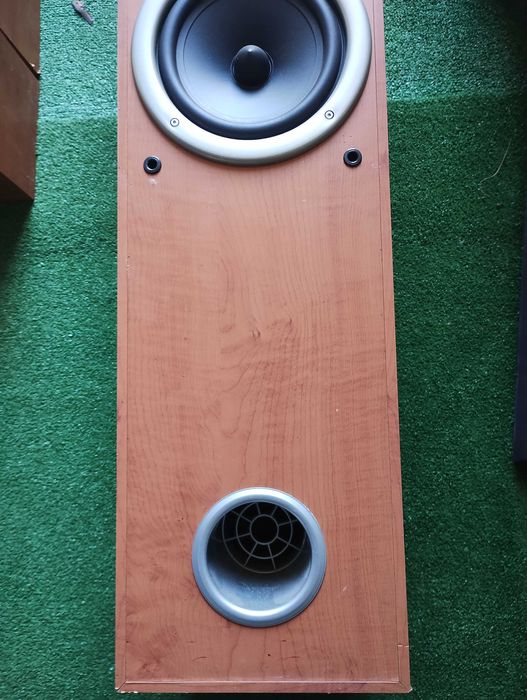 Тонколони усилвател