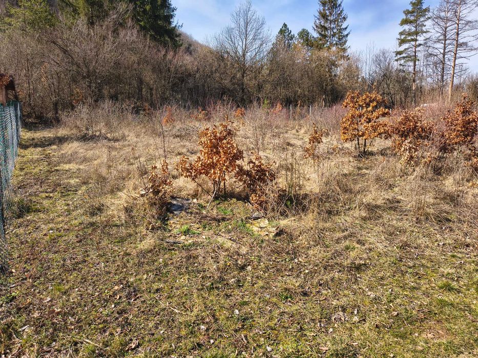 Панорамен парцел – Свидня в.з."Герова леска" ОТ СОБСТВЕНИК