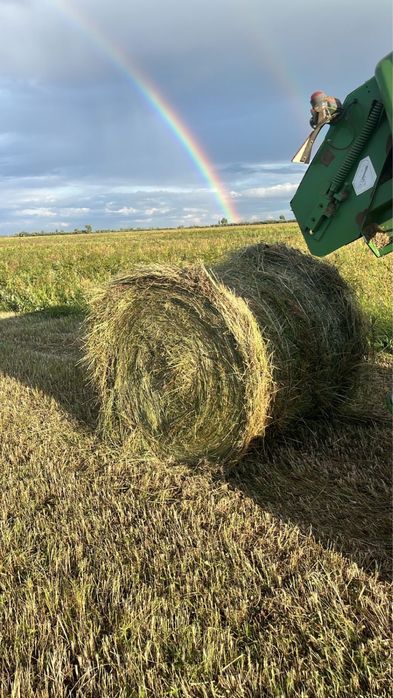 Продам сено луговое в рулонах