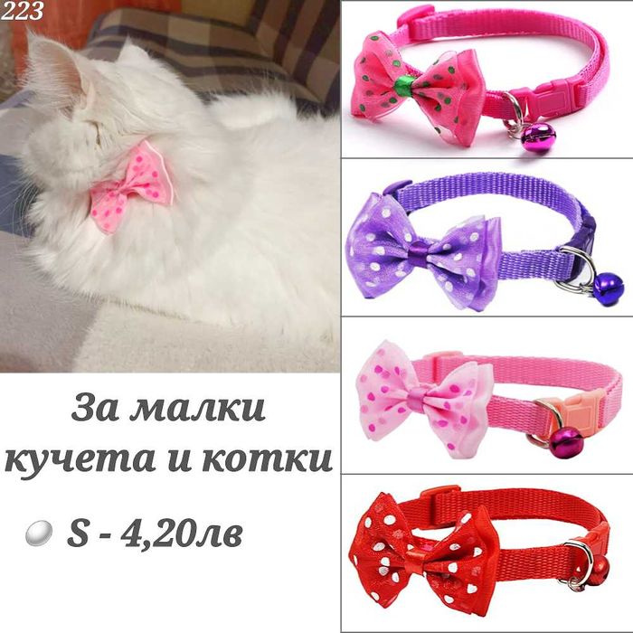 Нашийници за малки кучета. Нашийник за куче. Нашийник за котка. Каишка