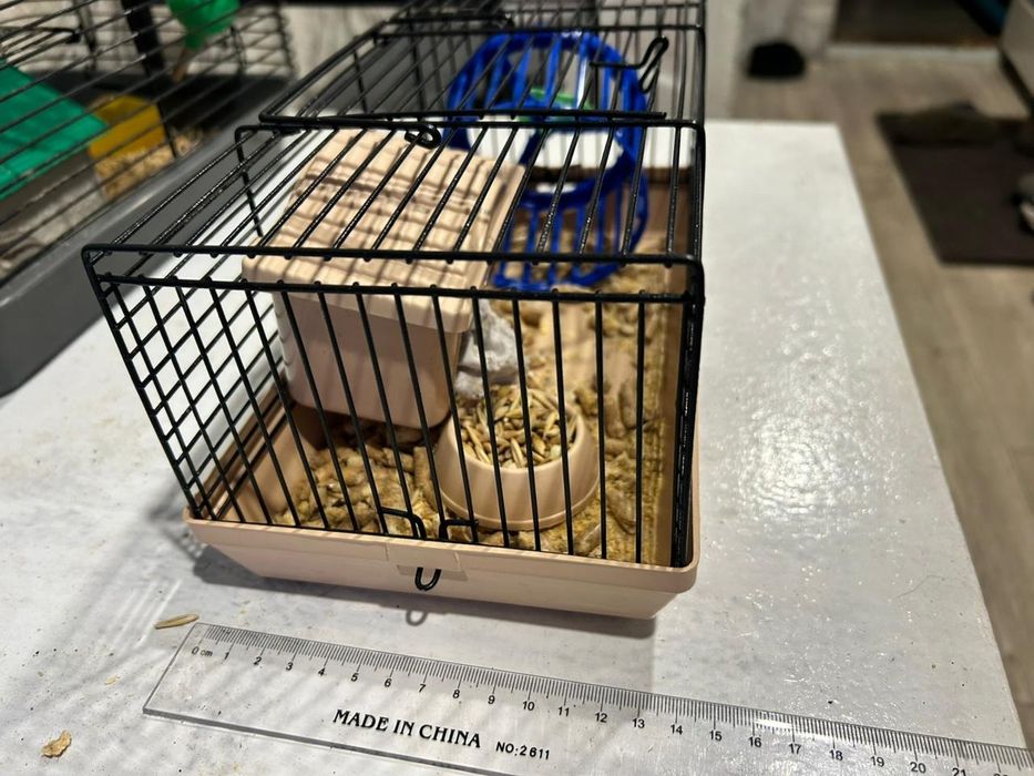 Хомячиха с клеткой