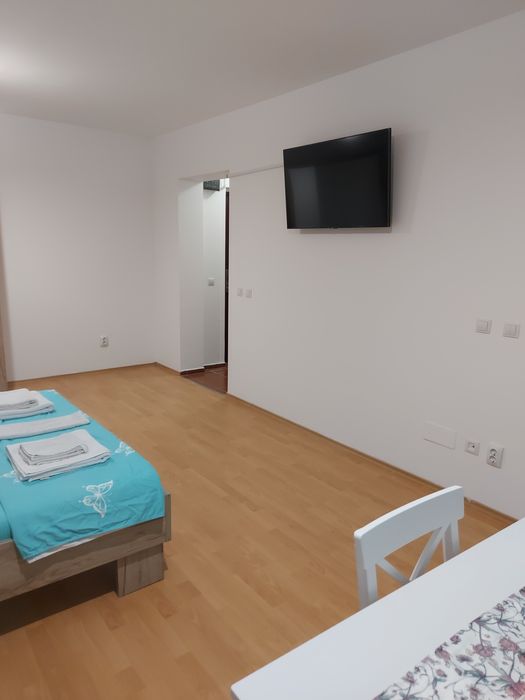 Cazare regim hotelier apartament 1 camera Pacurari (Dream Village