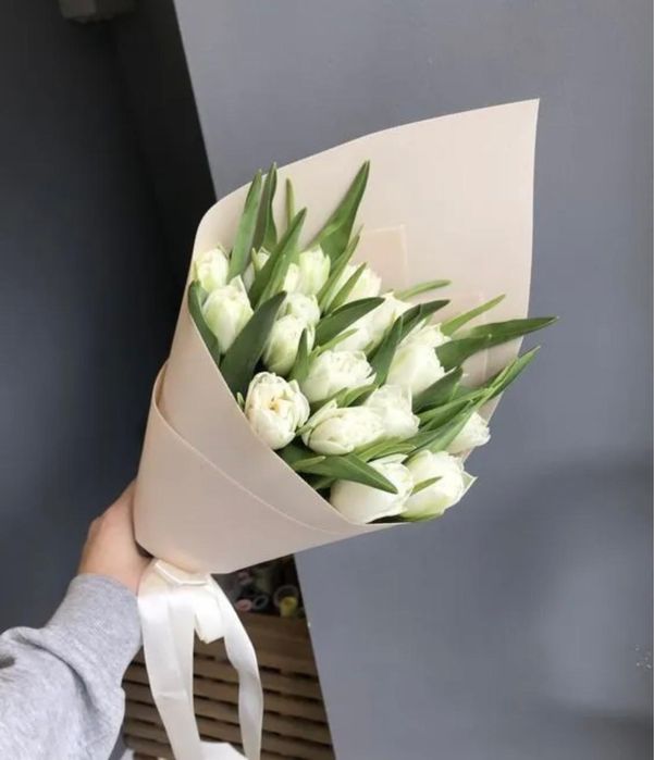 Тюльпаны голландские