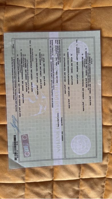 Аляскинский маламут вязка