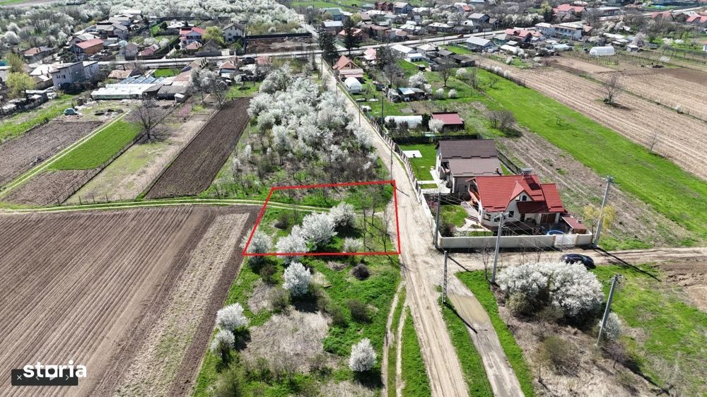 Tartasesti, lot 801 mp!