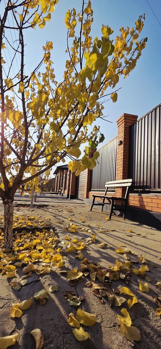 Большой дом в самале