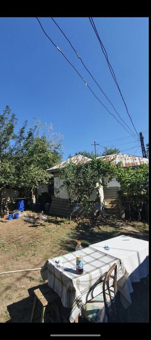 Casa Verbita+Livada de Pruni