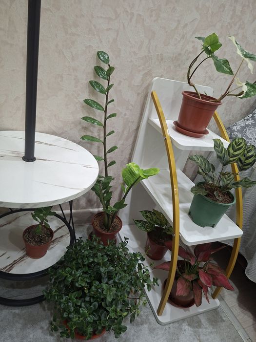 Журнальный столик