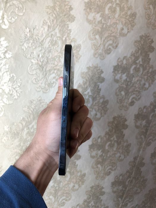 12 Про Мах 512 гб