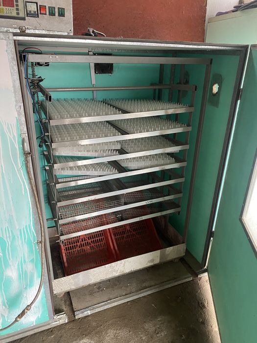 Инкубатор 1000дық