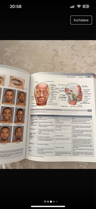 Atlas Grant Anatomie - NEFOLOSIT