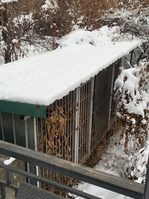 Продам варьер для собаки