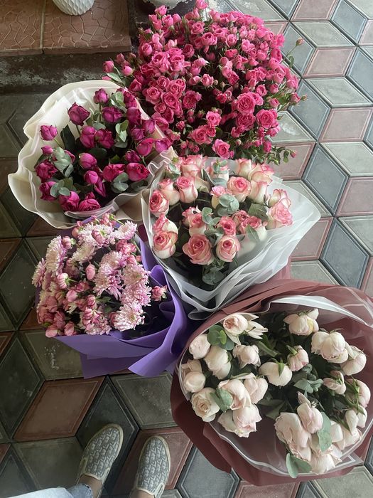 Продам цветы новые