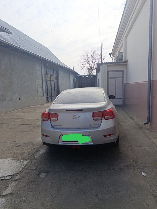 Malibu 1 pazitsiyasi 1