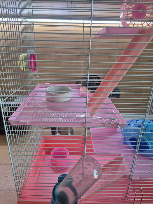 Клетка для хомяка