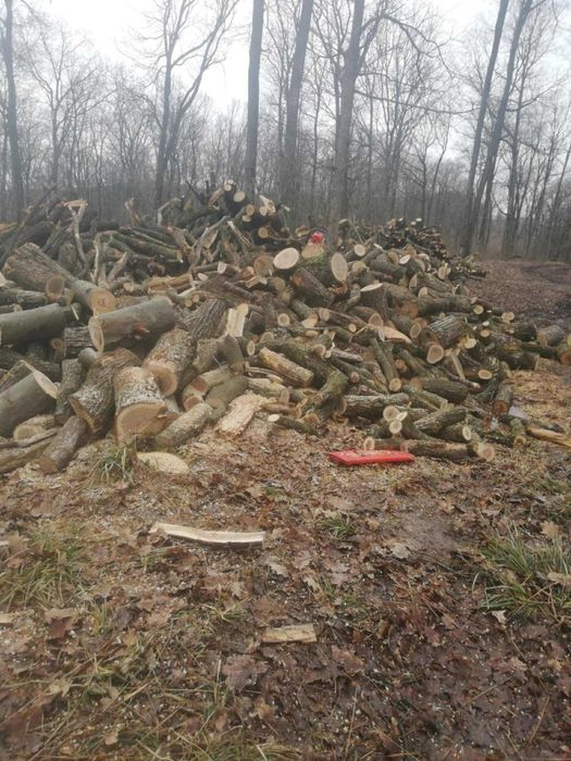 Lemne de foc - esență tare