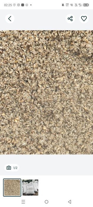 Куй мол учун ем ювилган бугдой отходи нархи 1500 кг доставка тошкент