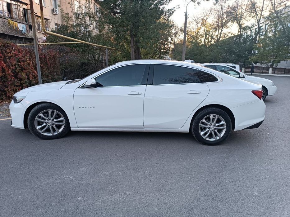 Malibu 2 oq 2018