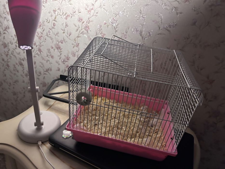 Клетка для хомяка