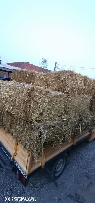 Baloti paie de ovăz