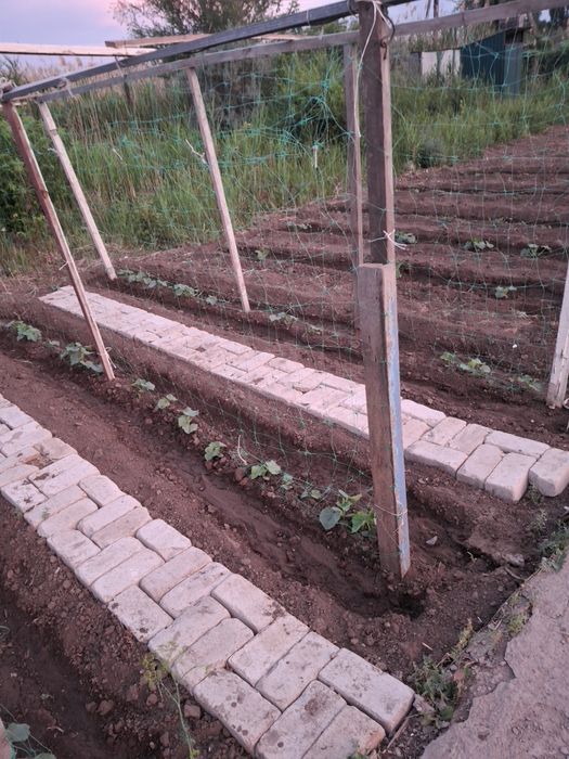 Продам дачу ск локомотивное 10