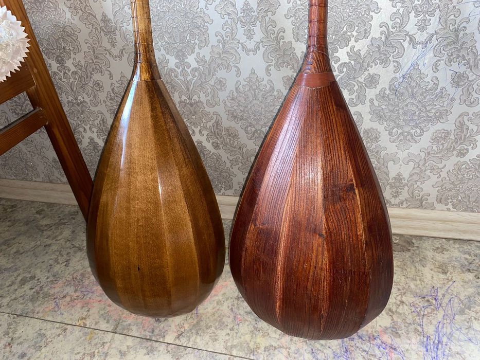 Қазақ ұлттық домбырасы