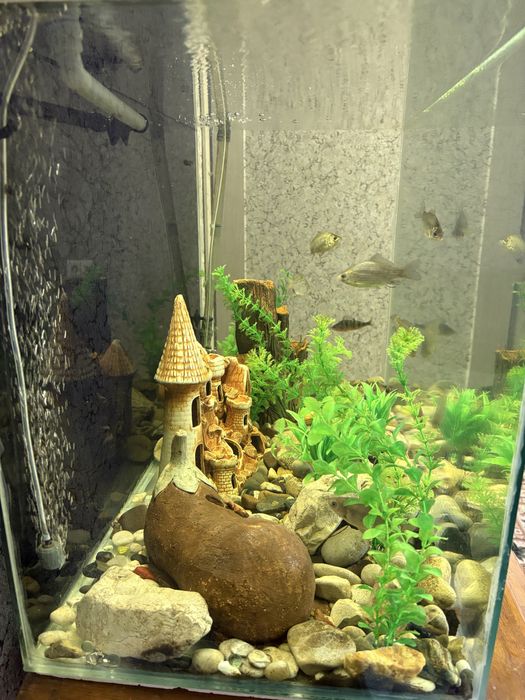 Аквариум с оборудованием