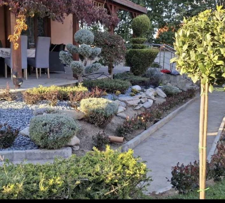 Тревен чим, Озеленяване