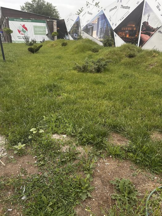 Ландшафтный дизайнер!