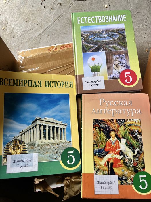 Книги 5 класс русский