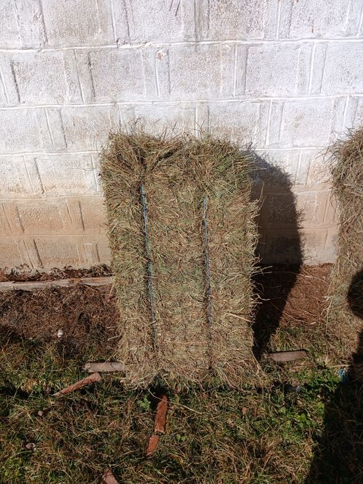 Baloti de otavă și lucernă