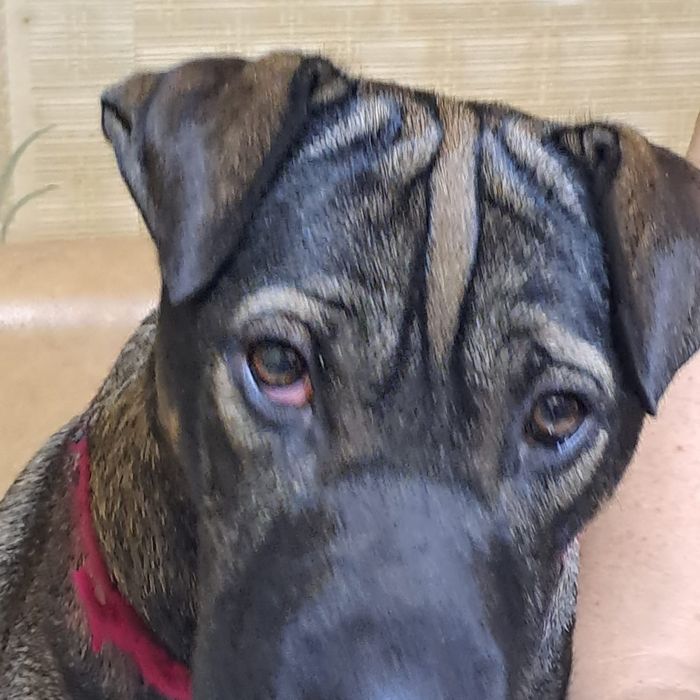 Парень ищет девушку