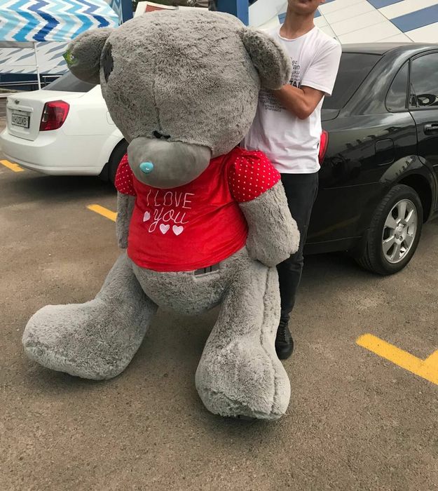 Teddi, Teddy, Teddiy yumshoq o'yinchoqlar