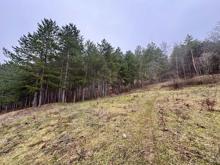 Продава се Парцел в с. Тополово, Област Пловдив - 1280 кв.м за 43 €/кв.м - Снимка #1