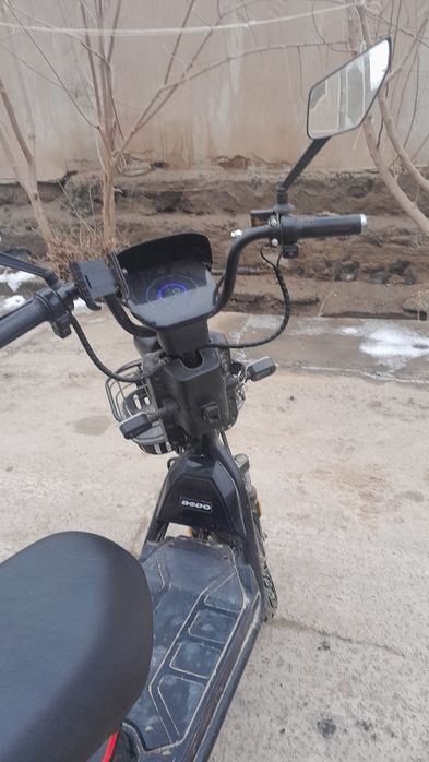 Yangi va arzon squter