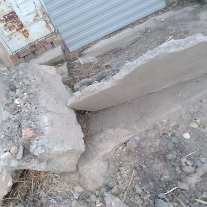 Блужник бетондар