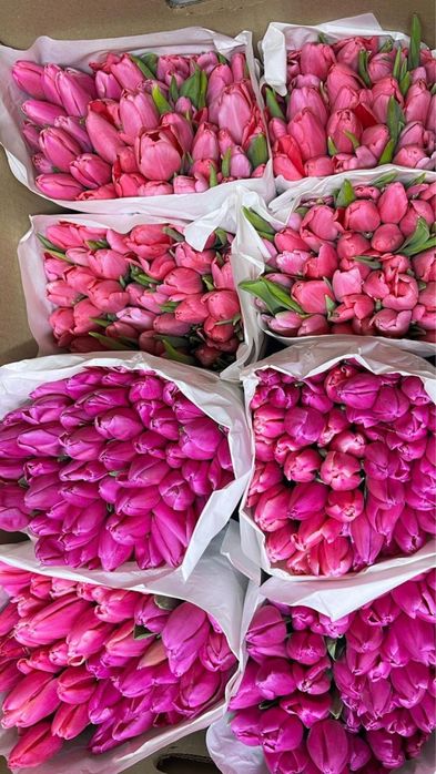 Тюльпаны, 8 март, подарки, цепочки, мишки