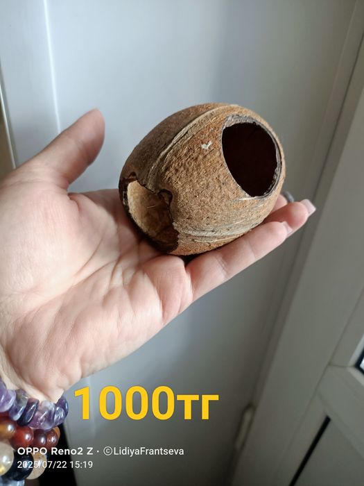 Принадлежности для хомячка