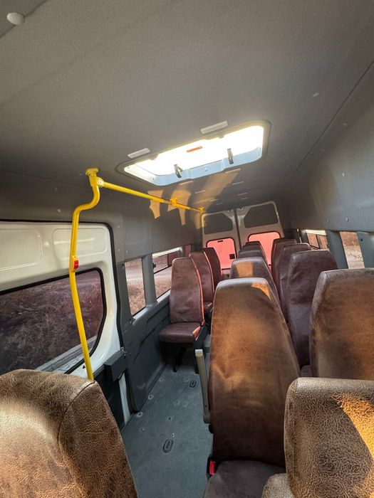 Газель нехт 2024