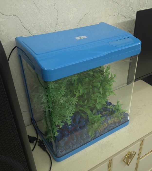 Акварюм синей света